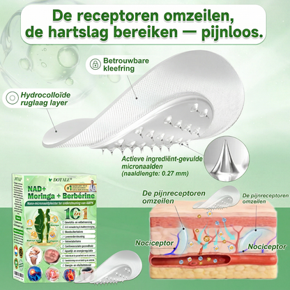 Als gelukkige klant heb je nog één kans om 80% korting te krijgen op je volgende shopsessie! DOOTALE@