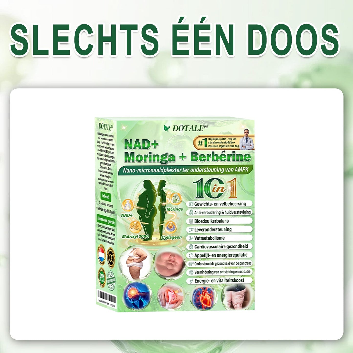 Als gelukkige klant heb je nog één kans om 80% korting te krijgen op je volgende shopsessie! DOOTALE@